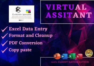 I will be your Virtual Assistant for data entry, typ...