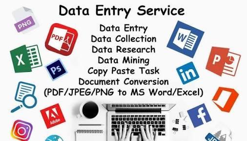 I'm working as a freelancer. I m expert in data entry...