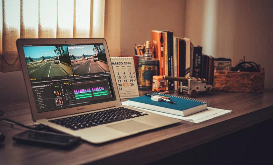 Professional article about cats