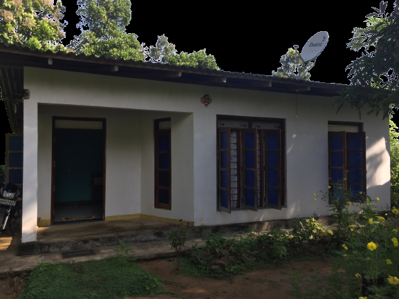 Colorize Photos and images background remover