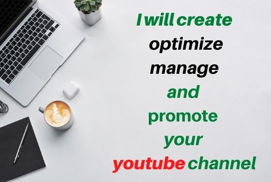 I will create, optimize, manage, and promote your ...