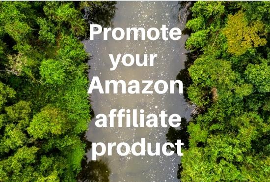 I will Promote your Amazon affiliate product in 2 mil...