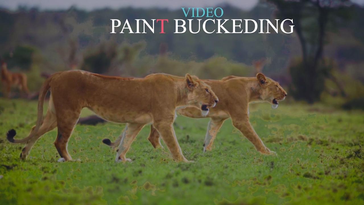 create video editing for every one