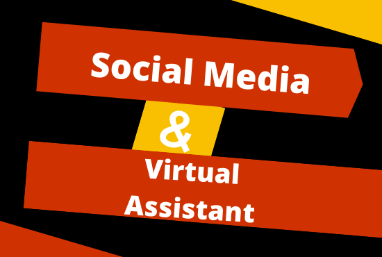 I will do your social media manager and virtual assis...