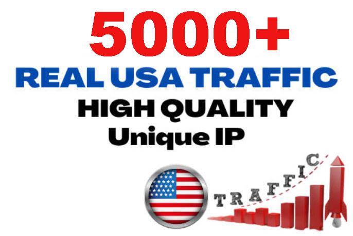5000+ Unique USA Targeted Website Traffic to your web...