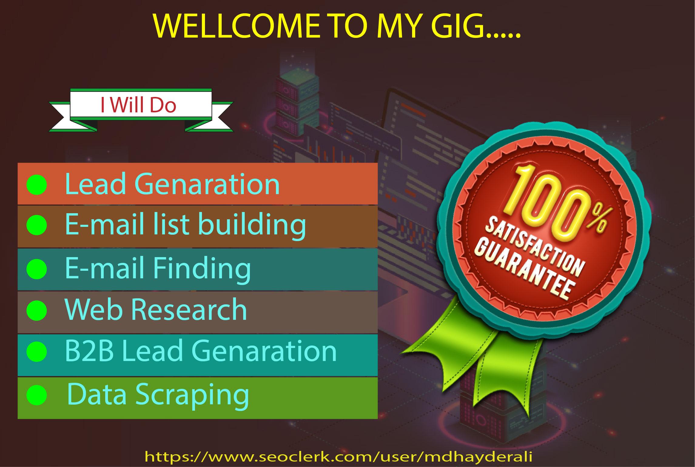 I will do excelent email list building, b2b lead gene...