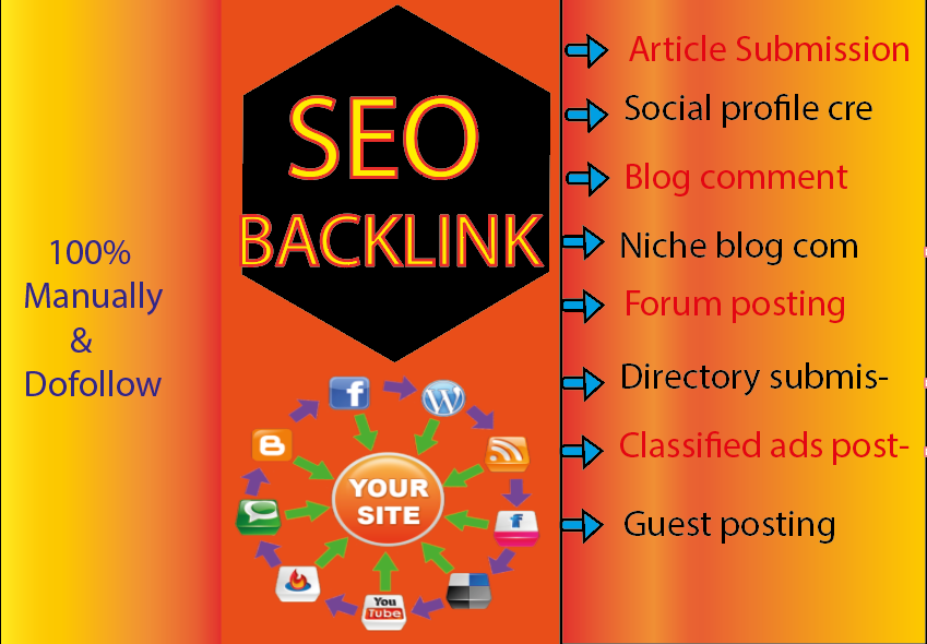 I will do Monthly Seo Package With Daily Reports, Do...
