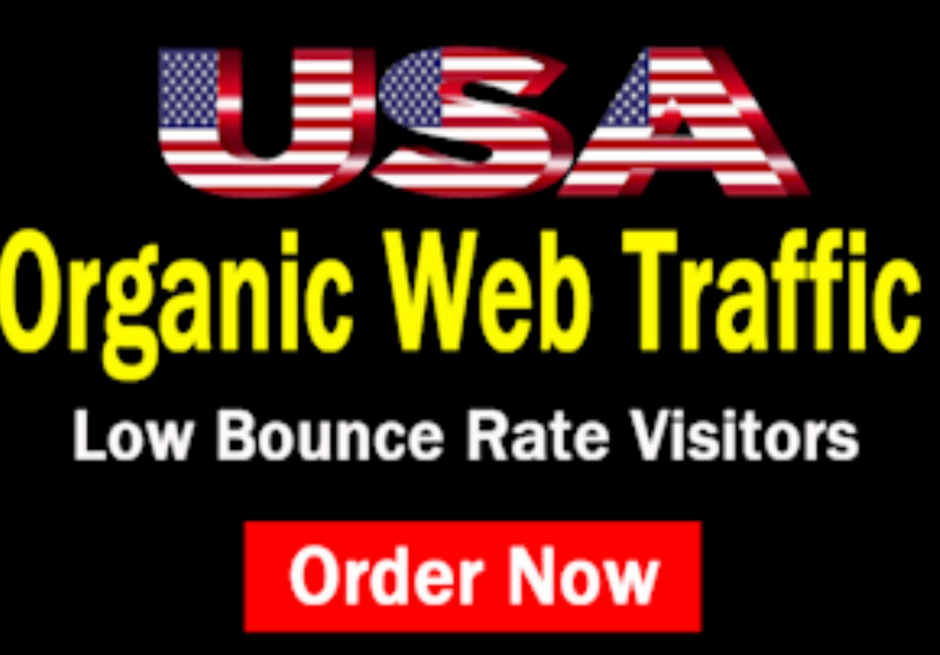 I will drive 1000 real human visitors, organic targe...