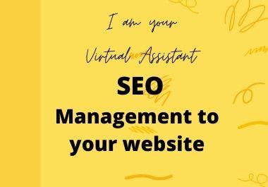 I will do expert SEO management