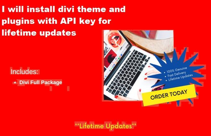 I will install divi theme and plugins with API key fo...