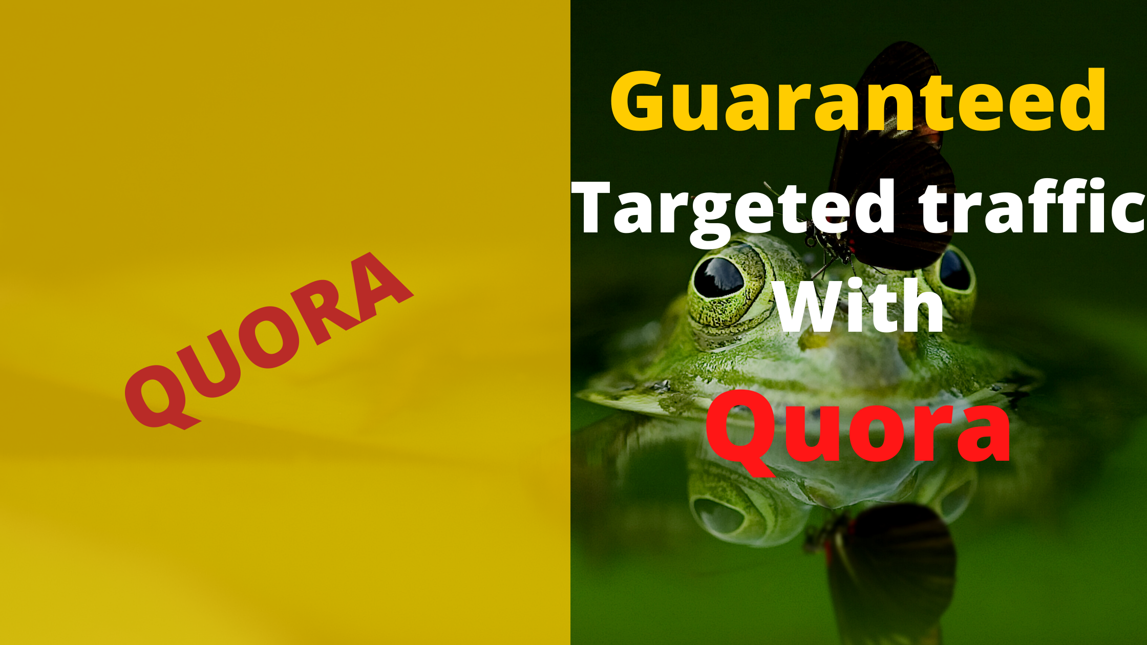 I will offer guaranteed targeted traffic with 40 quor...
