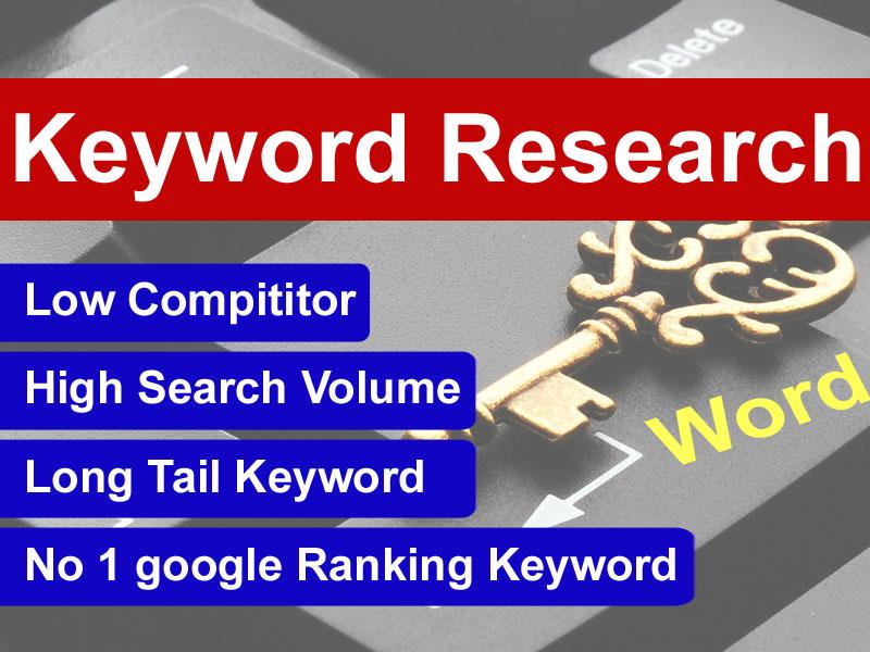 I am professional profitable seo keyword researcher f...
