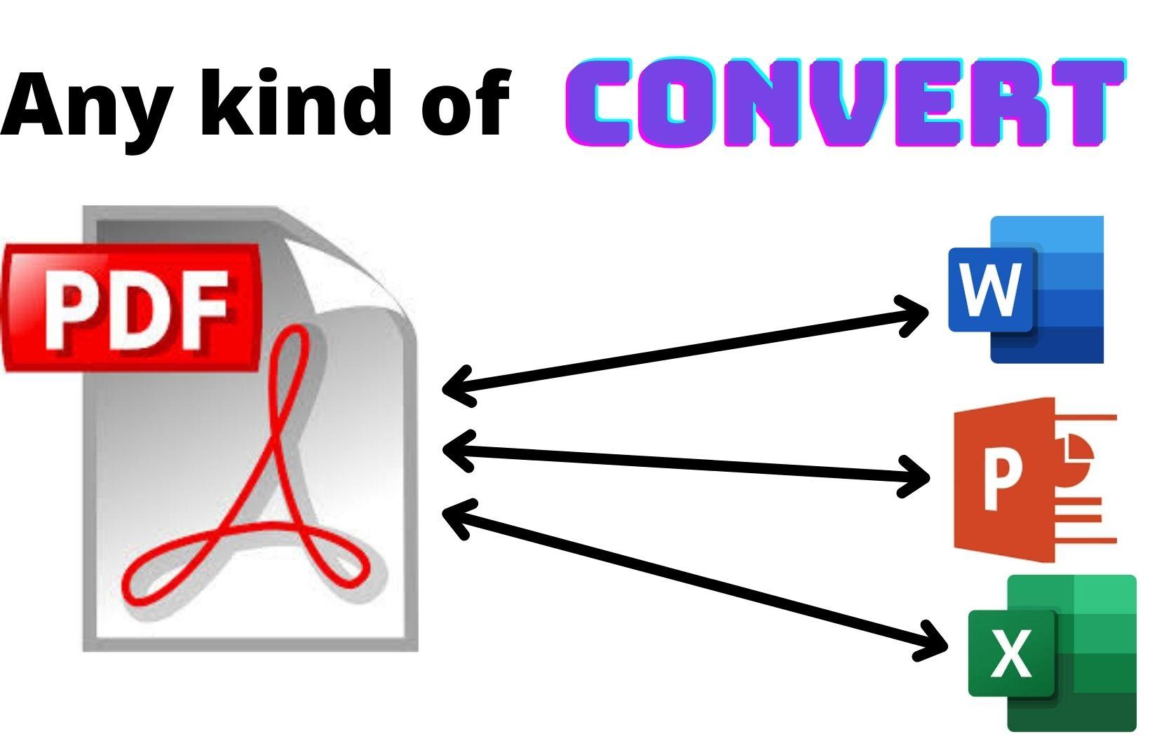 I will convert pdf to word professionally, express d...