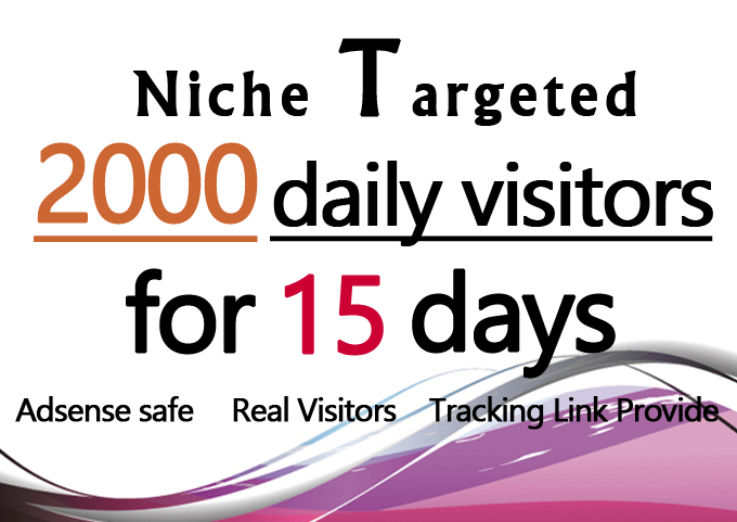 promote your website unlimited niche targeted web tra...