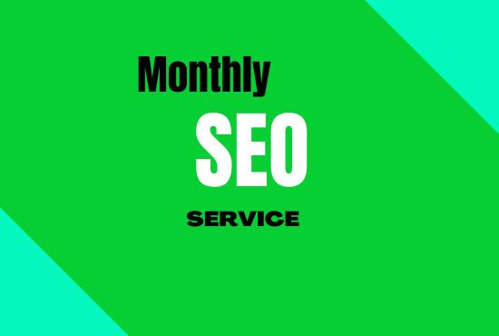 I will do professional SEO service for google top ran...