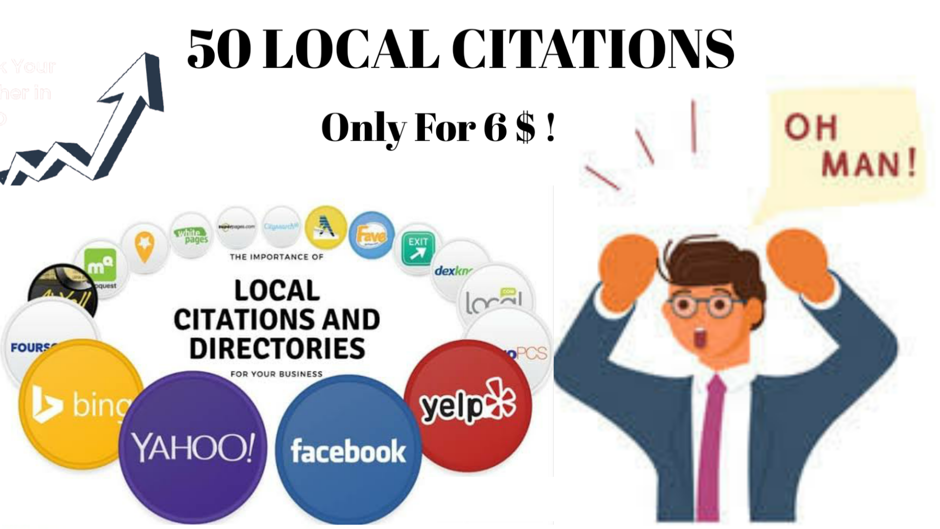 I will do 50 USA/UK/Australia/Canada Local Citations ...