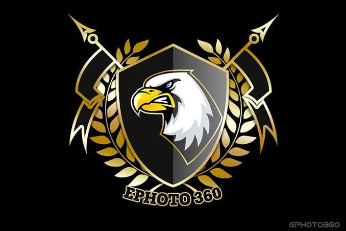 I have a great experience to making a logo