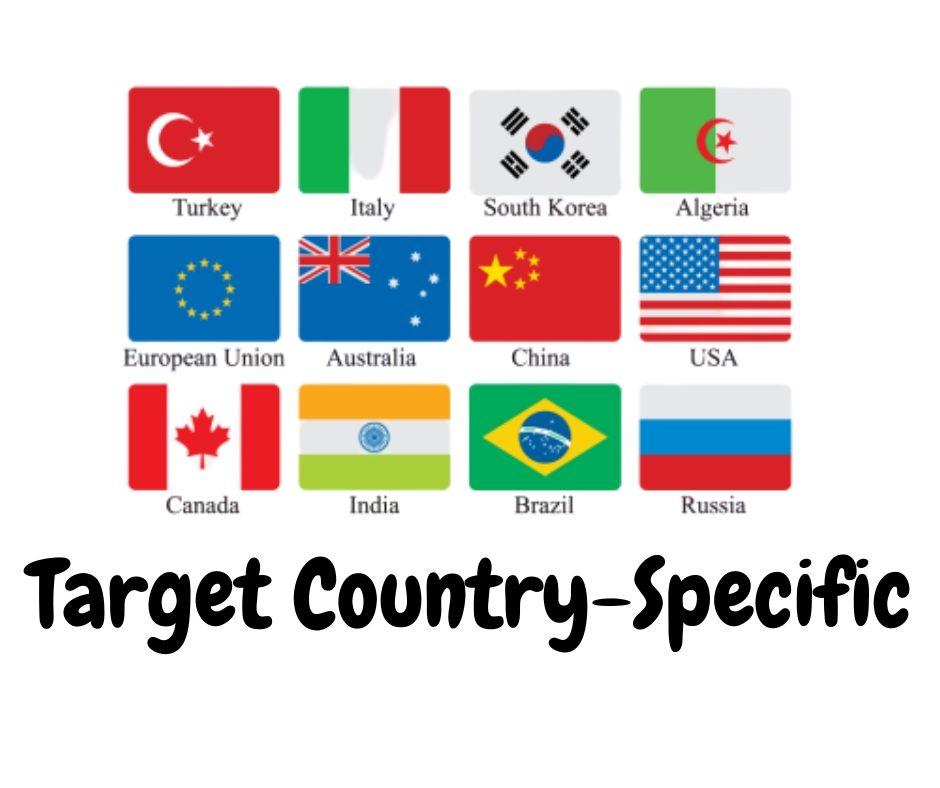 Country Targeted website Real person 3000 traffic low...