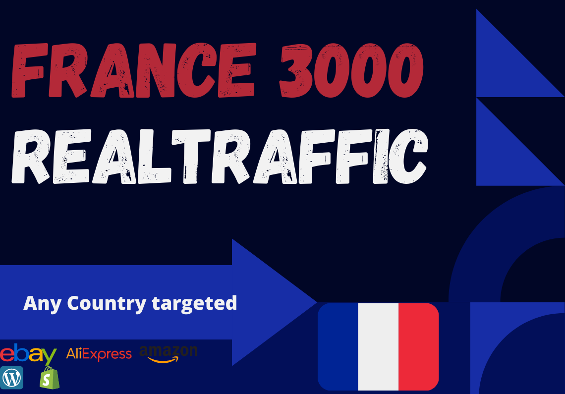 France website Real person 3000 traffic low bounce ra...