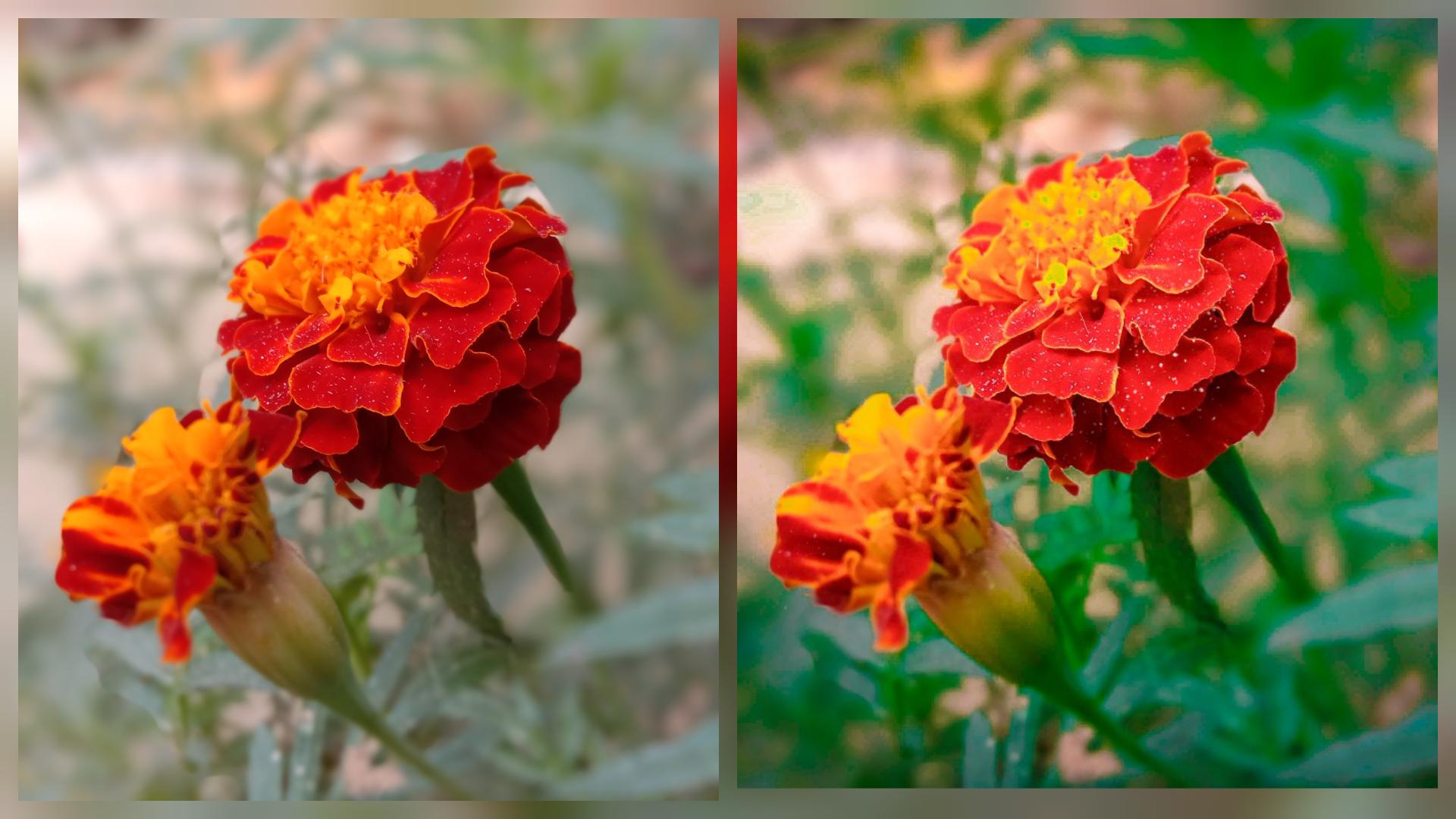 Photo Editor And Retouching Specialist and Background...