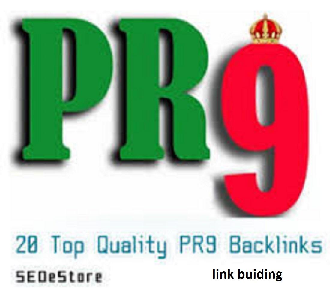 I will create 20 PR9 white hate backlinks put in hand...