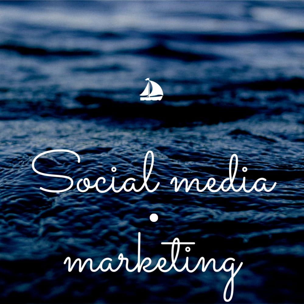 i will become a virtual assistant on social media mar...