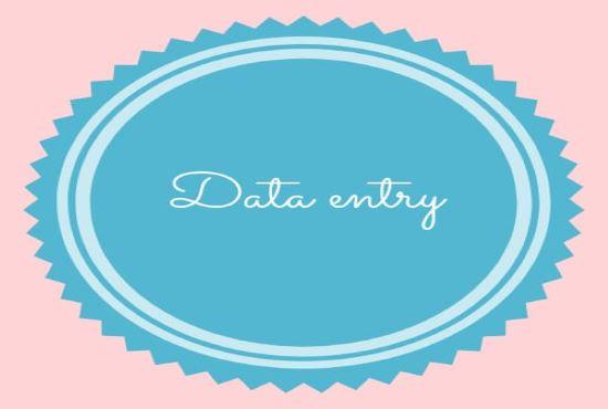 i will offering all type of data entry services
