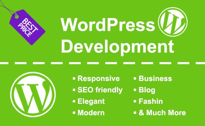 You will get A professional WordPress blog website ex...