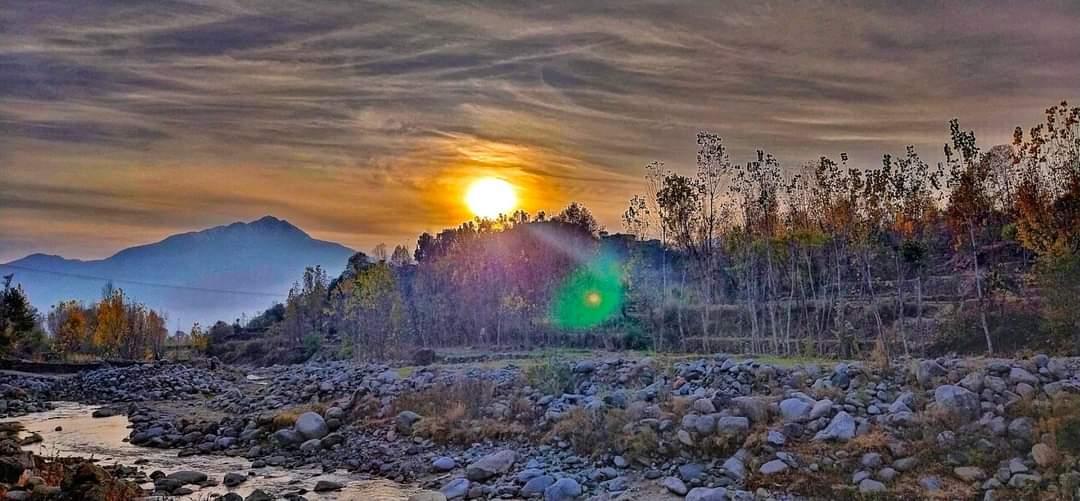 Professional Nature photographs that you need for you...