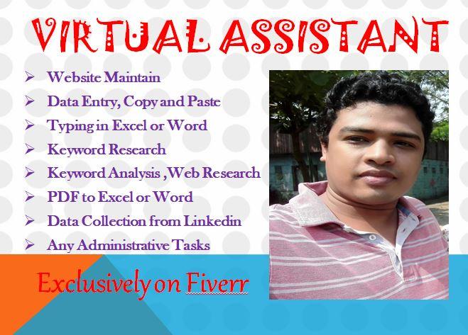 I will be your Reliable virtual assistant for any dat...