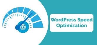 I will do WordPress speed optimization