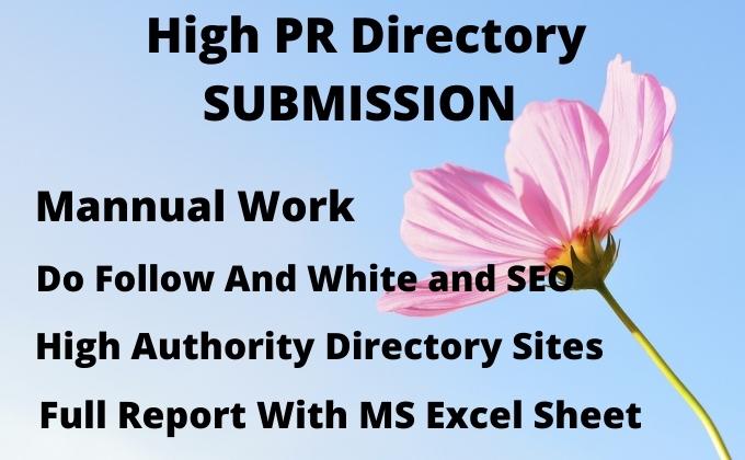 I will create 100 directory submission SEO backlinks.