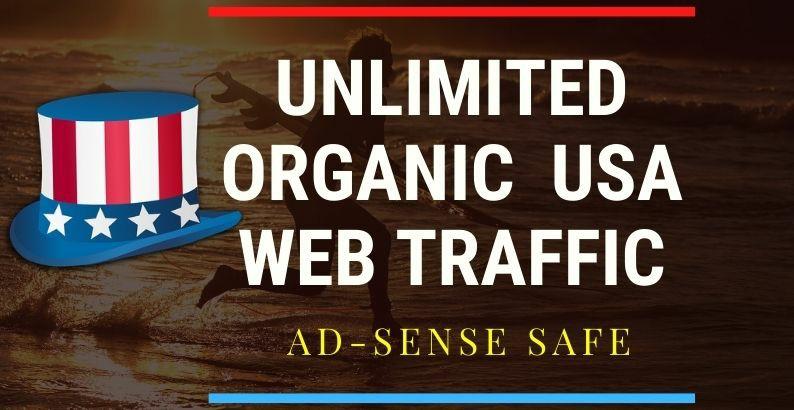 33.8k usa web traffic keyword target USA website traf...