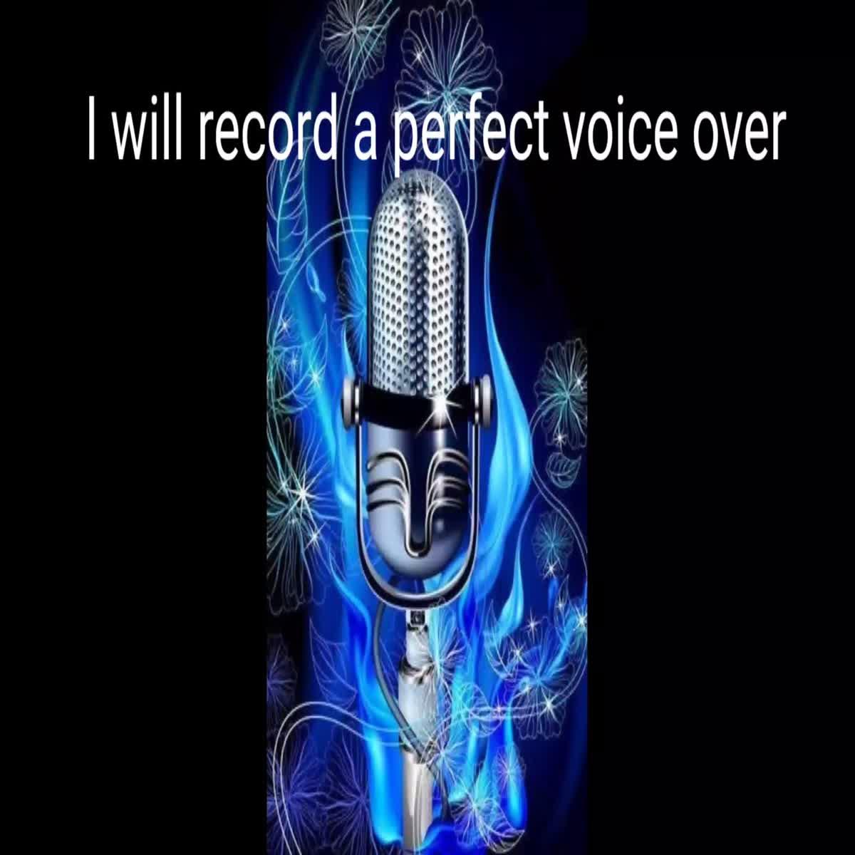 A voice director guides a project to its desired goal...