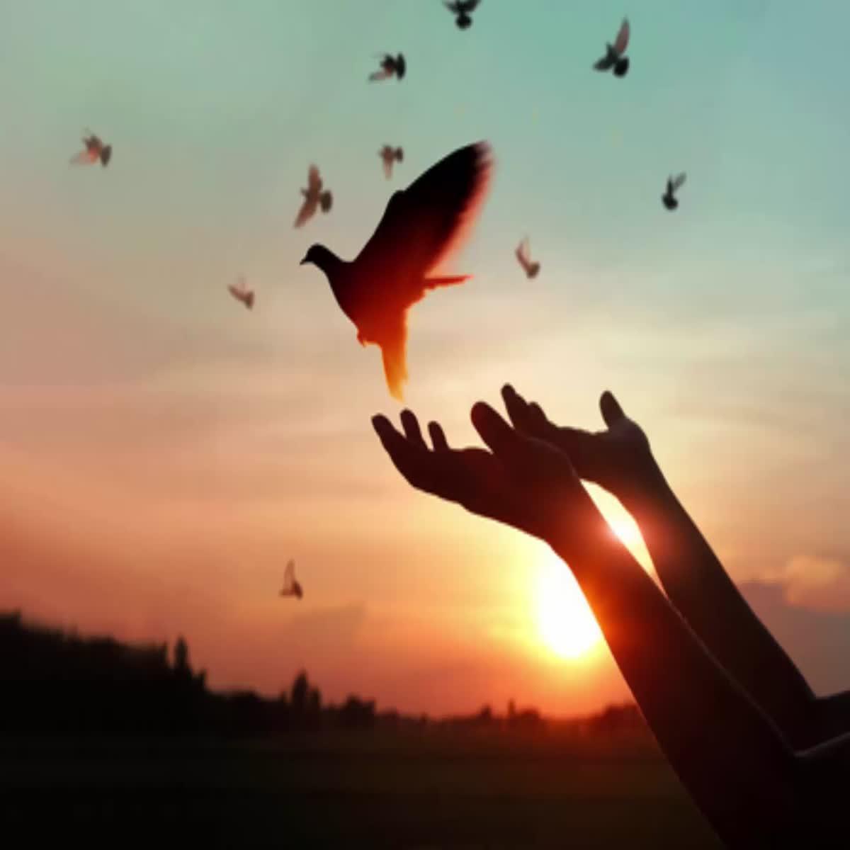 voice over With high accuracy And professionally like...