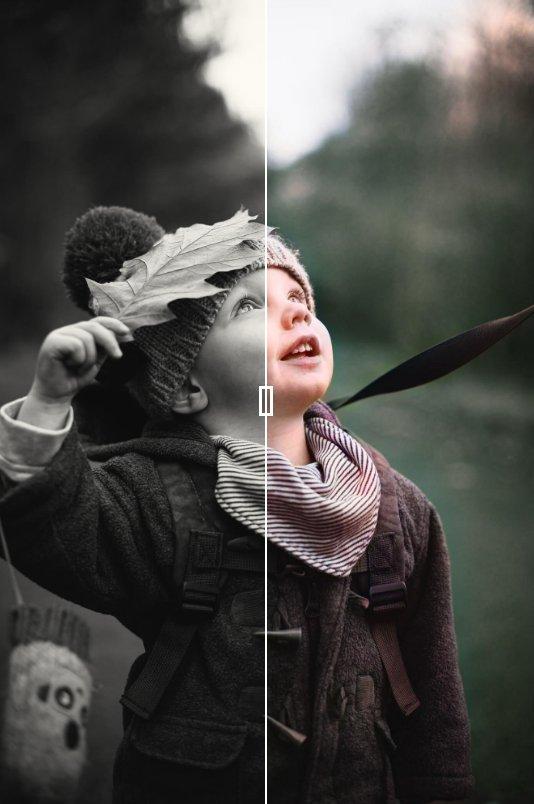 I can convert a black and white image into a natural ...