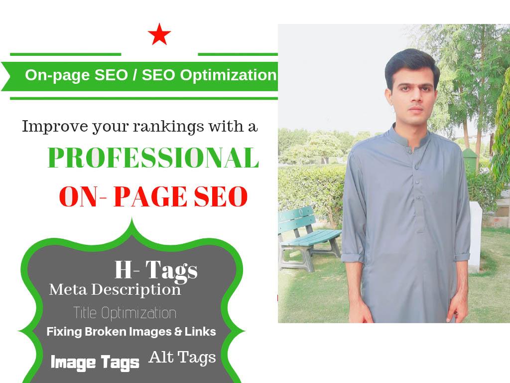 i will do onpage seo for your website and technical o...