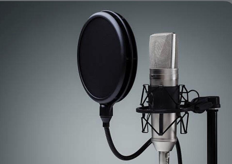 I have the skill of voice-over.