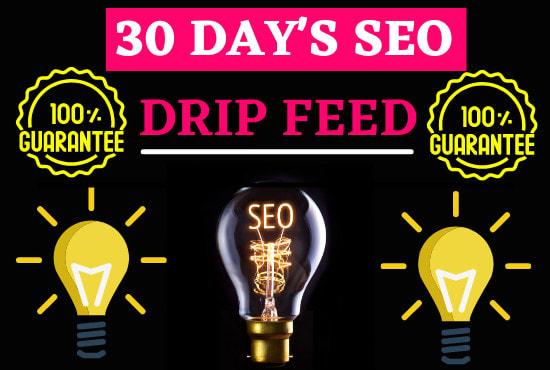 I will do 30 days SEO backlinks for your website rank...
