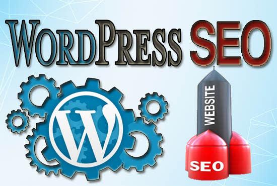 I will setup complete wordpress SEO for top page rank...