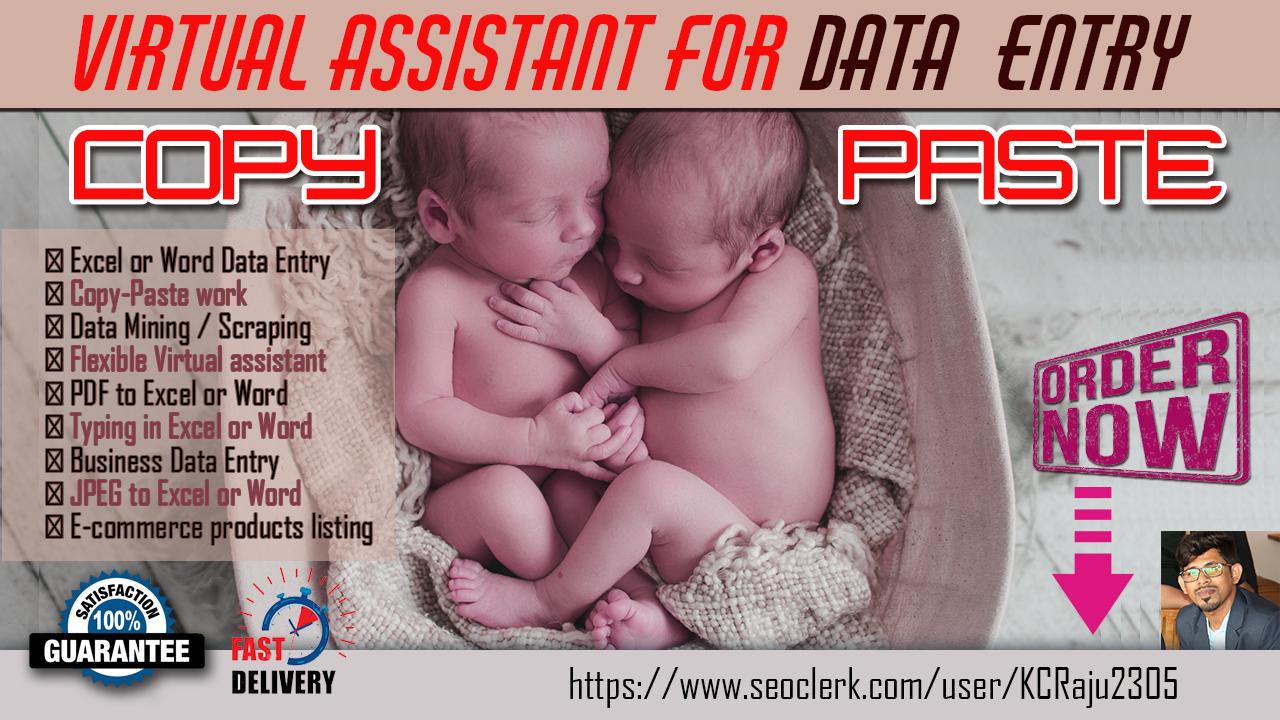 I will provide you Any Types of DATA ENTRY work withi...