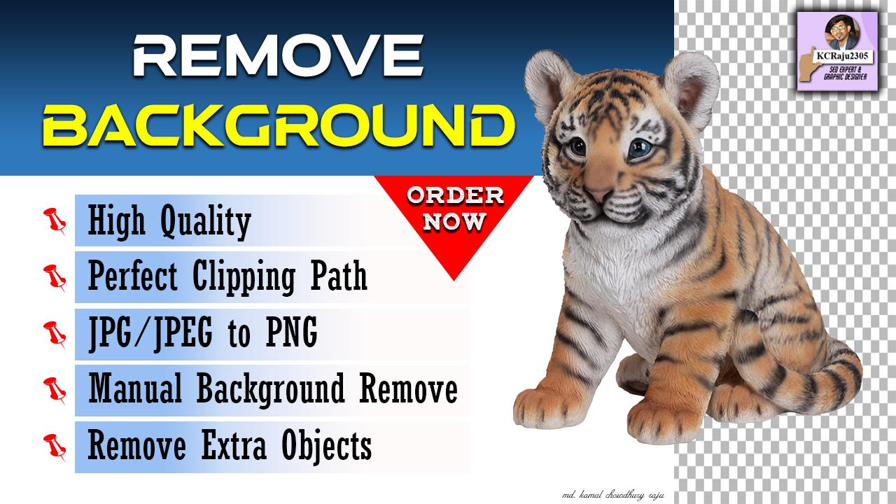 I will professionally REMOVE your 10 product BACKGROU...