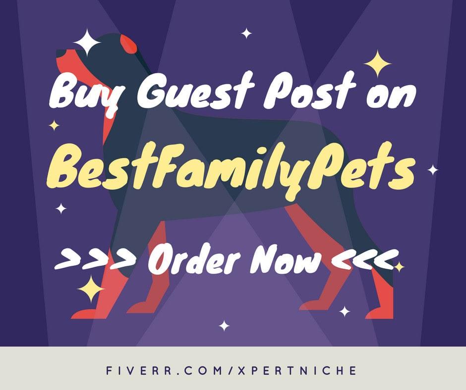 I will publish your article on my pets niche blog