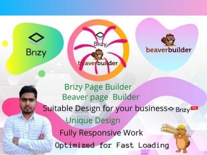 Build modern responsive wordpress website using brizy...