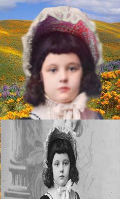 i will make colorize your photo and change its backgr...