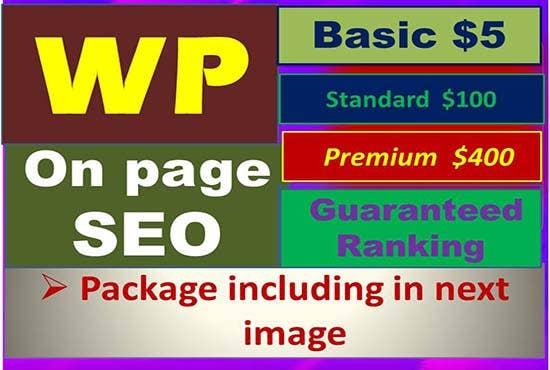 We will do wordpress on page seo to rank your website...