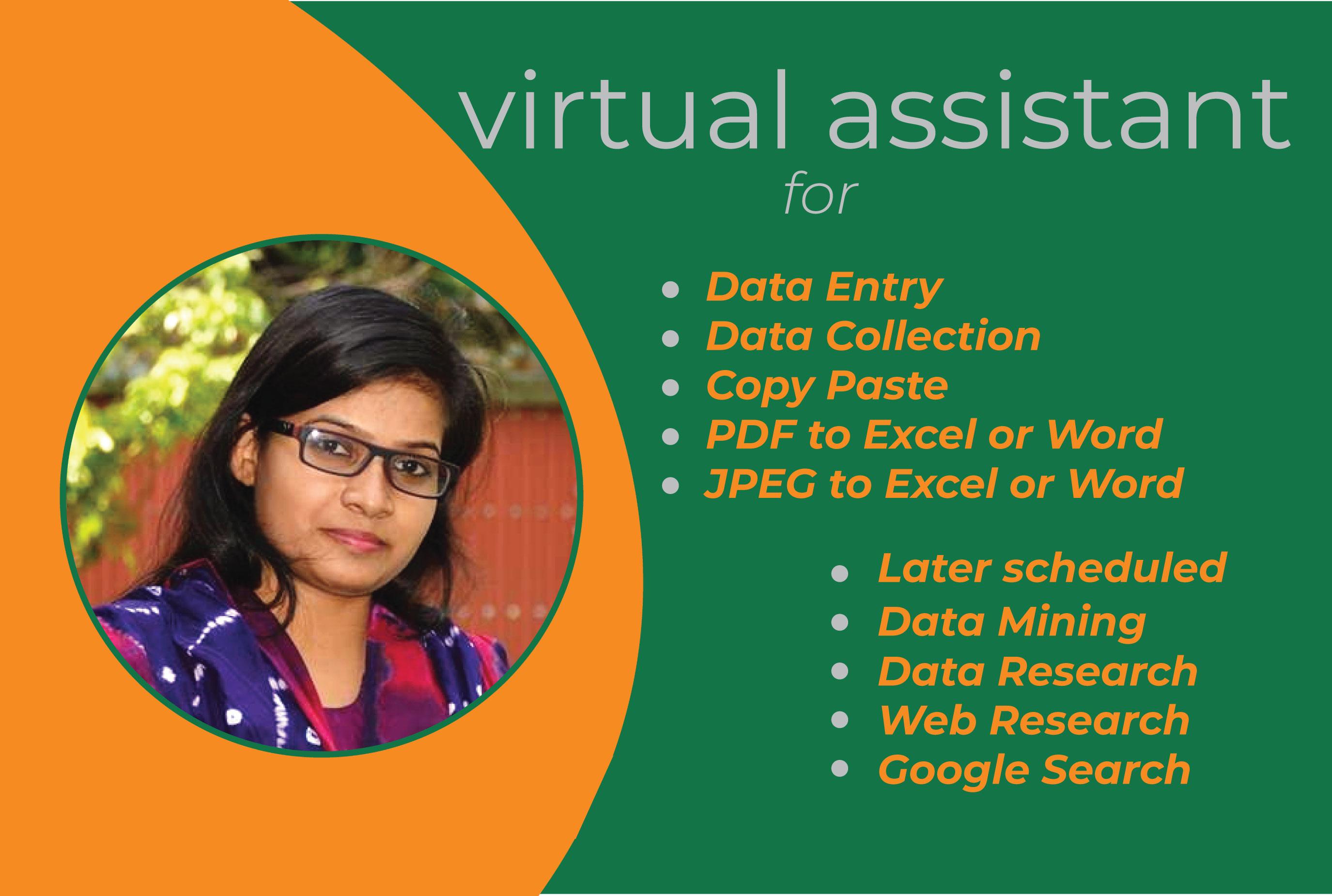 I will be your virtual assistant for any type of Micr...