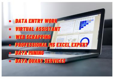 Data entry professional MS excel automation and virtu...