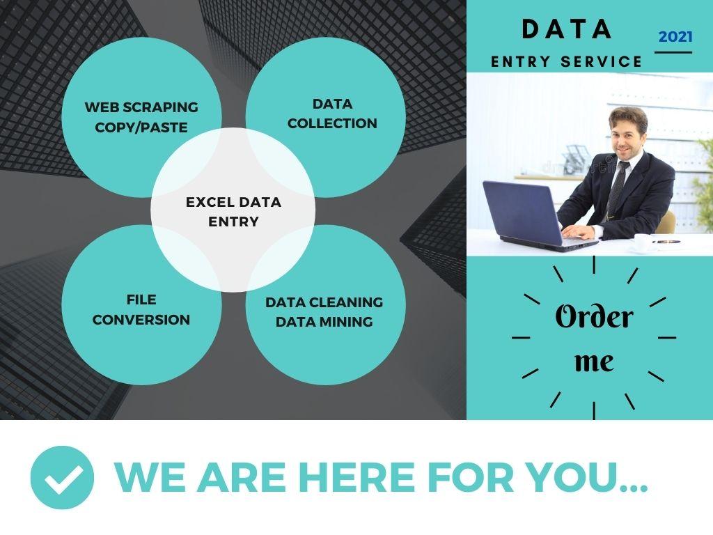I will do excel data entry and copy paste work