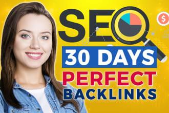 High Quality SEO Backlinks Service for Google Ranking